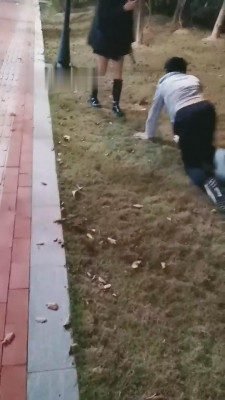【丹祖宗】双S户外遛狗专场 bf8938