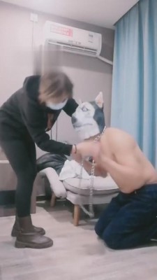 【刘二狗】素人肉肉首次圣水暴力调教 bf4541